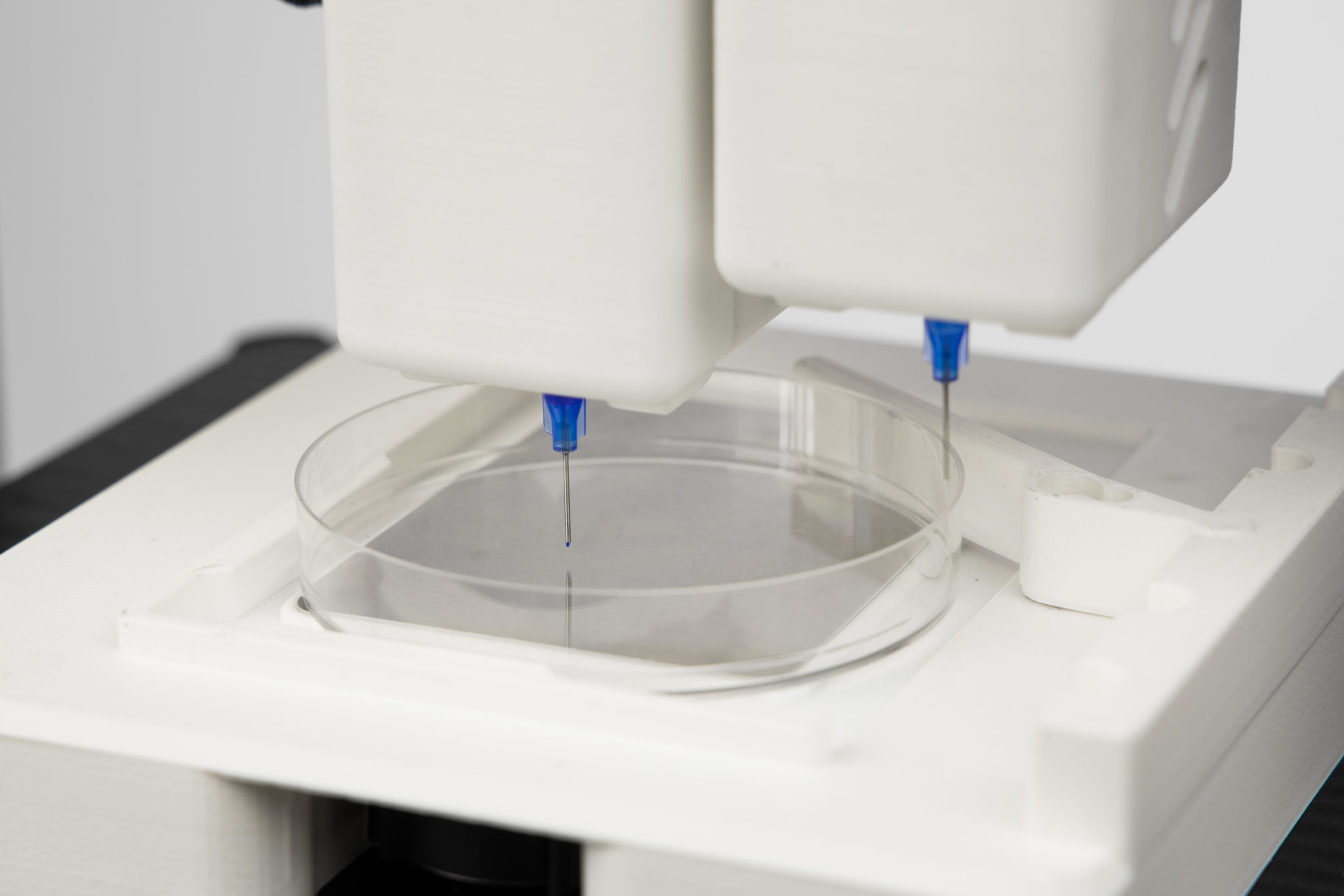 3D Bioprinting